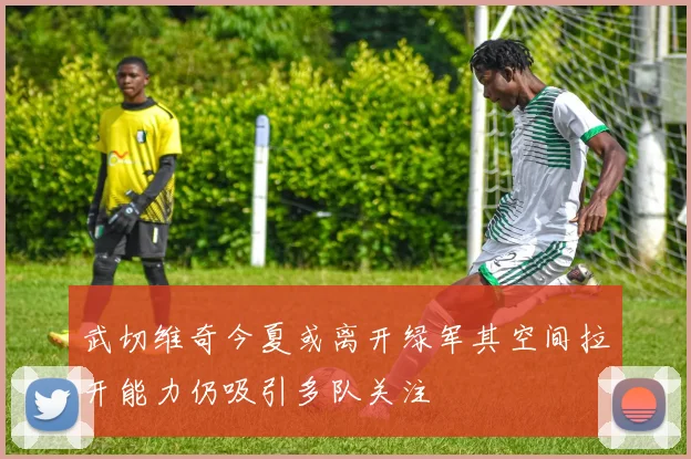 武切维奇今夏或离开绿军其空间拉开能力仍吸引多队关注