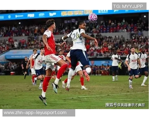 热刺认真评估买断帕利尼亚与弗兰克良好关系助力转会